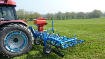 Quelles alternatives au paillage classique ?