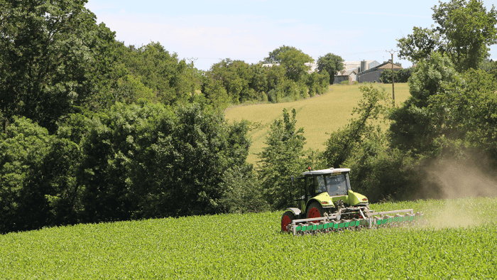 Les haies interviennent dans la décarbonation
