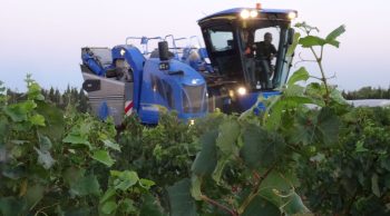 Le coût d’utilisation des machines à vendanger en forte hausse dans le Var