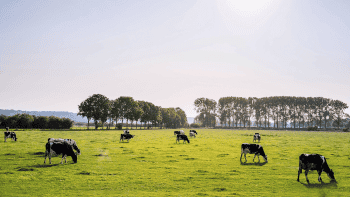 Quelles aides pour amortir le coût de la décarbonation ?