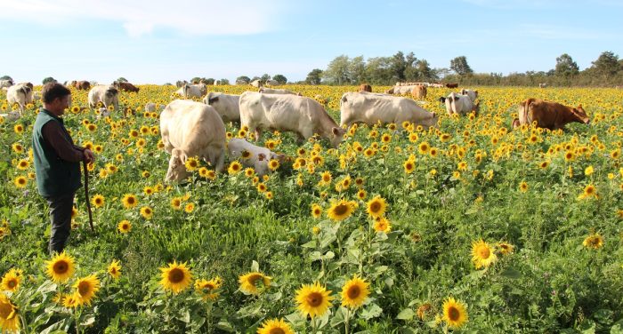 Agriculture décarbonée chez Cédric Boivineau Hors-Séries 2025