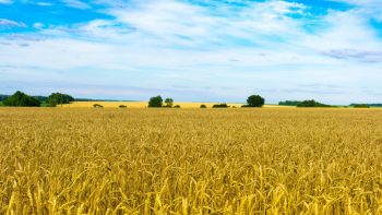 [Série 2/3] Pourquoi intégrer l’Ukraine dans l’Union européenne ?