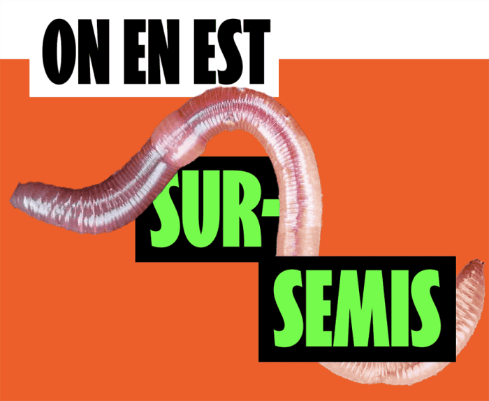 sols plus fertiles en bio actualité et innovations cuma