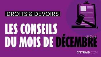 Conditions du cumul emploi-retraite, guirlandes, boules… de Noël : l’actu gestion de décembre 2025