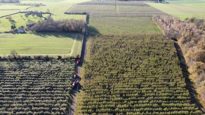 35 hectares de vergers de pommes