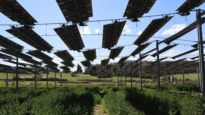 agrivoltaïsme et grandes cultures