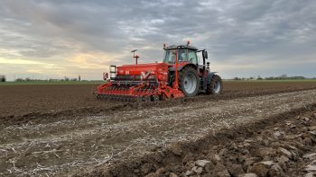 Le blé français a t-il encore un avenir ?