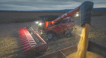 Case IH : des cueilleurs 12 et 16 rangs pour les Axial-Flow