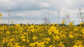 2025, entre forte augmentation et secteur toujours sous tensions