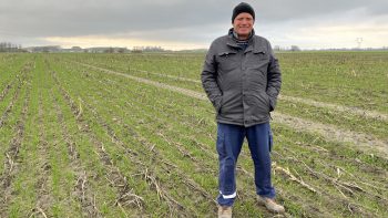 Semis sous couvert, essayer c&rsquo;est l&rsquo;adopter ?