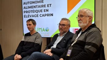 L’autonomie alimentaire des caprins grâce à la cuma