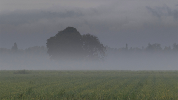 Exploitation agricole en difficulté: quels signaux ?