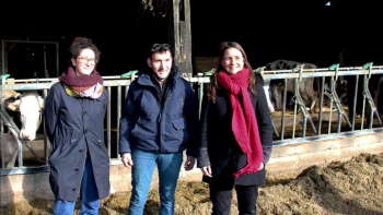 Des éléments qui engagent à abattre les pertes d’azote