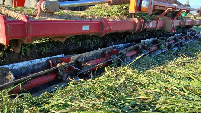 Rouleau hacheur de couverts Horsch