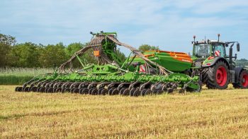 Amazone, l’envol du Condor 02