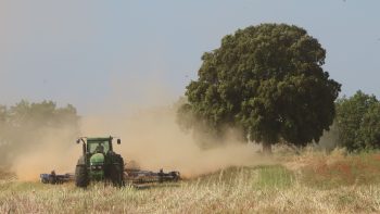 Les clés de la réussite sont aussi dans les réglages des scalpeurs
