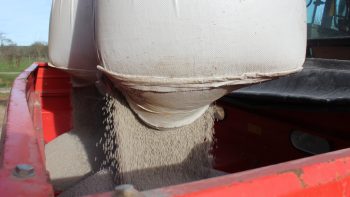 Après la pluie, revoir son reliquat azoté