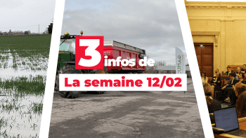 Les 3 Infos de la semaine du 12 février 2026