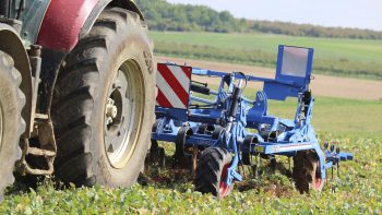 Comparatif de 12 matériels pour un désherbage mécanique efficace