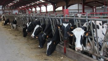 Le modèle agricole français comme un caillou dans la chaussure de l&rsquo;UE