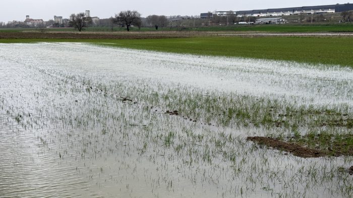 La pluie dans le sud, bonne ou mauvaise nouvelle ?