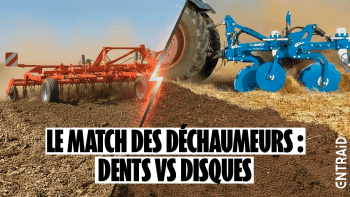 Match des déchaumeurs : le coût des dents vs disques