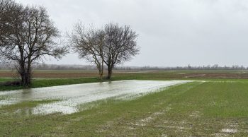 Recharge des nappes phréatiques : il en manque encore