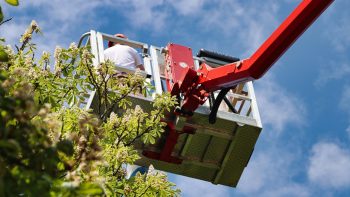 Nacelle en cuma : réglementation et sécurité