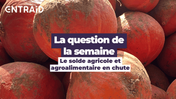 Énorme chute du solde agricole et agroalimentaire