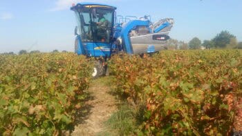 [Tarn] Moins de vignes, plus d&rsquo;entraide : le plan de bataille des cuma pour 2025
