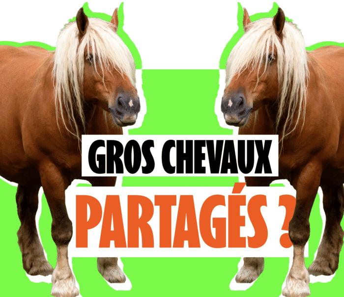 chevaux tracteurs