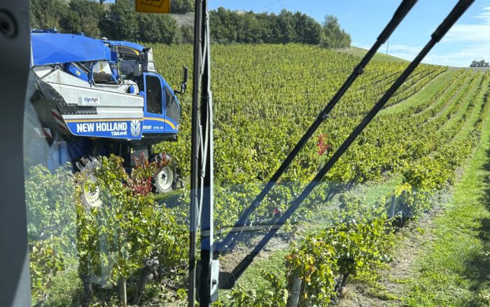 Vendanges et baisse de surfaces