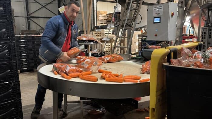 Tri et conditionnement de légumes