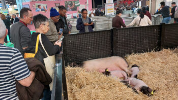 Même sans bovin, le SIA reste un salon pro incontournable