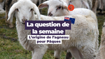 De l’agneau néo-zélandais pour Pâques ?