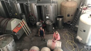 Des aides pour le secteur vitivinicole français