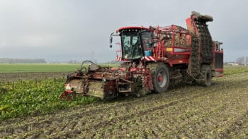 L&rsquo;intercuma pour l&rsquo;arrachage de betteraves : une nécessité