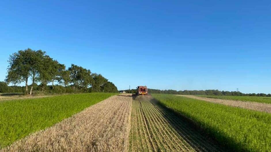 Cultures en bandes Avenir des parcelles agricoles