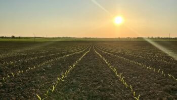 Pourquoi le semoir polyvalent n’existe pas ?