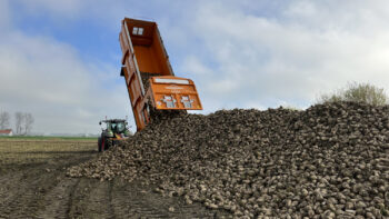 Mercosur : des marchés du sucre et d&rsquo;éthanol chamboulés