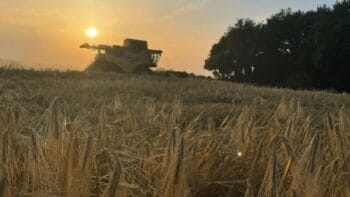 Temps de travail des agriculteurs : comment s&rsquo;organiser ?