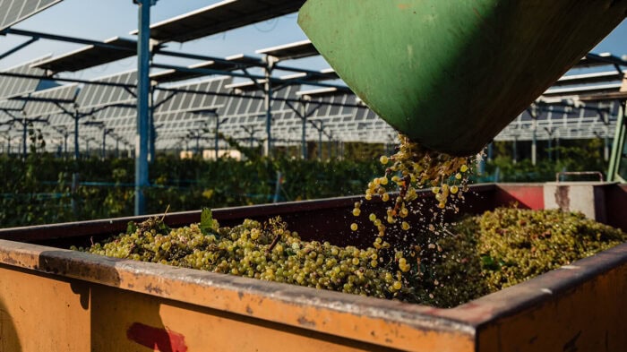 agrivoltaïsme compatibilité productions agricoles