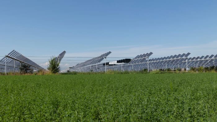 installation agrivoltaïque en grande culture