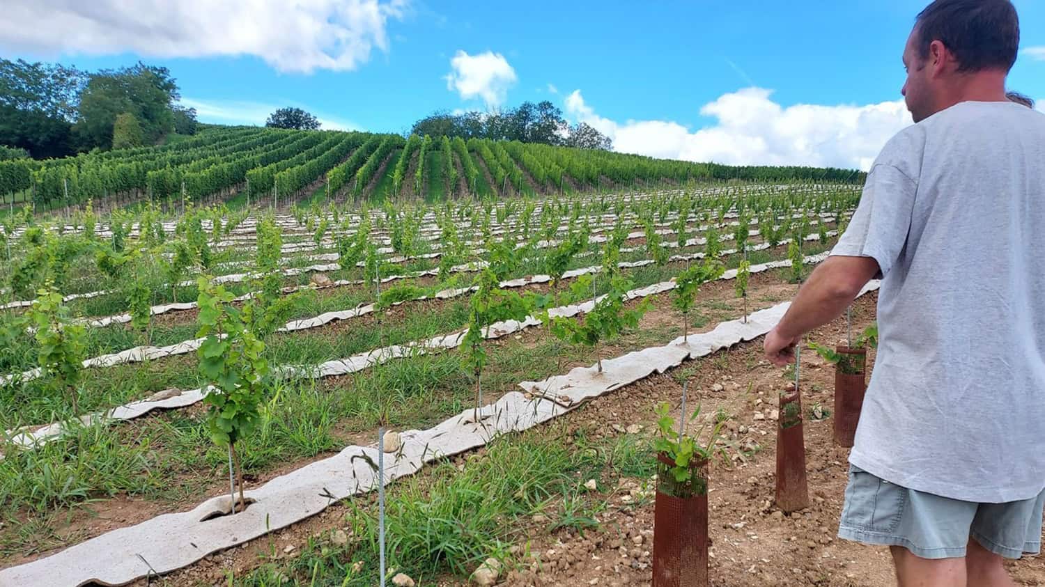 programmes opérationnels fruits et légumes