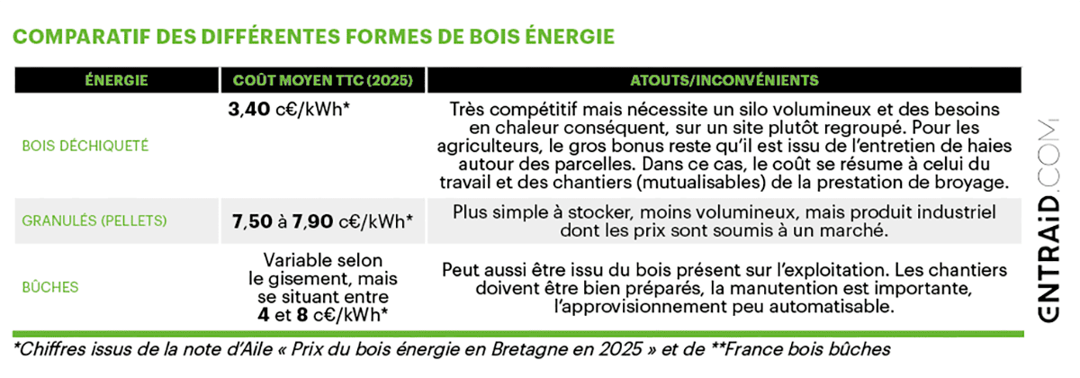 bois déchiqueté rentable