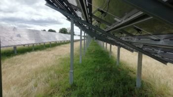 [Agrivoltaïsme] Des prairies à la vigne, une compatibilité au cas par cas