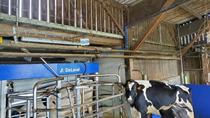 économie énergie robot traite