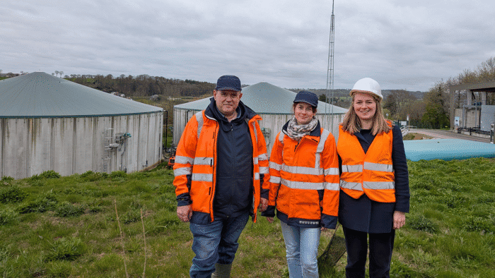 Culture intermédiaire à vocation énergétique