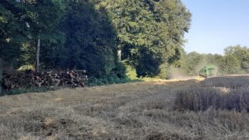 Valorisation locale de la plaquette : le débouché en plus