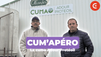 « Rester maître de la filière, du champ au produit fini » – Cuma Adour Protéoil
